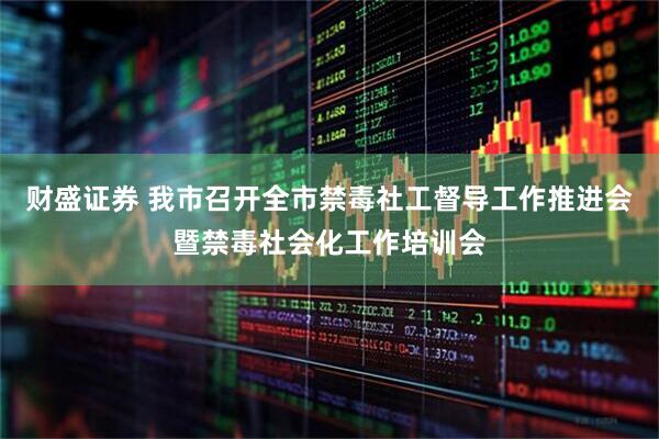 财盛证券 我市召开全市禁毒社工督导工作推进会暨禁毒社会化工作培训会